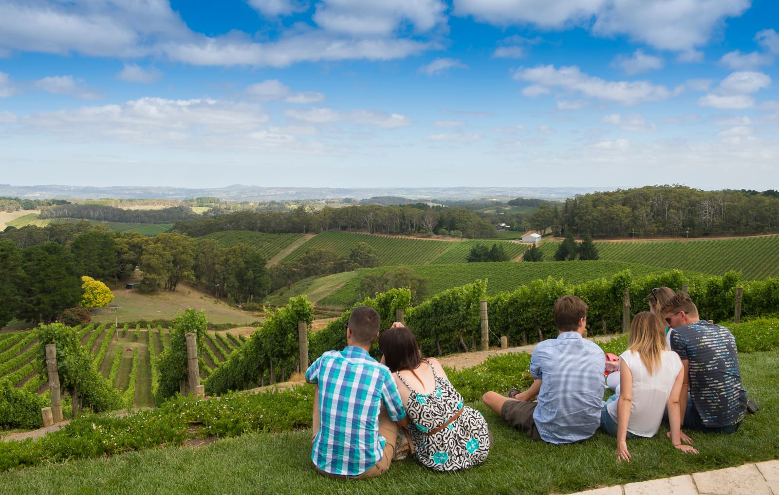 Adelaide wine tours